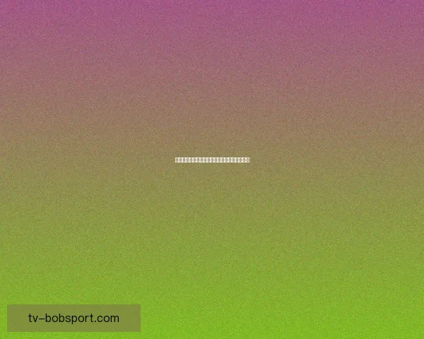 世界杯竞猜热门平台盘点与实用玩法全攻略指南