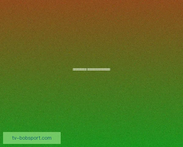 世界杯竞猜技巧揭秘 提升预测准确率的实用方法与策略